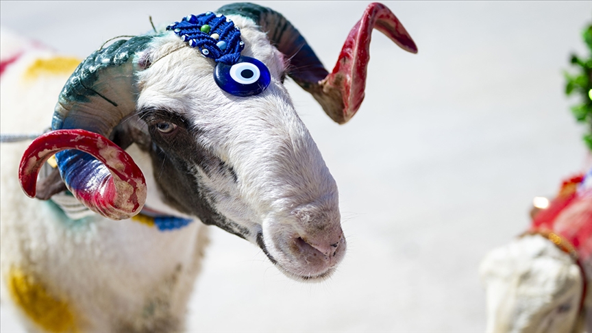 kurban